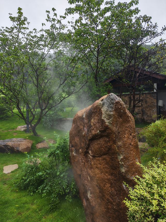 琵琶里霧森花海｜南北湖新晉仙境，每一步都係網紅大片！