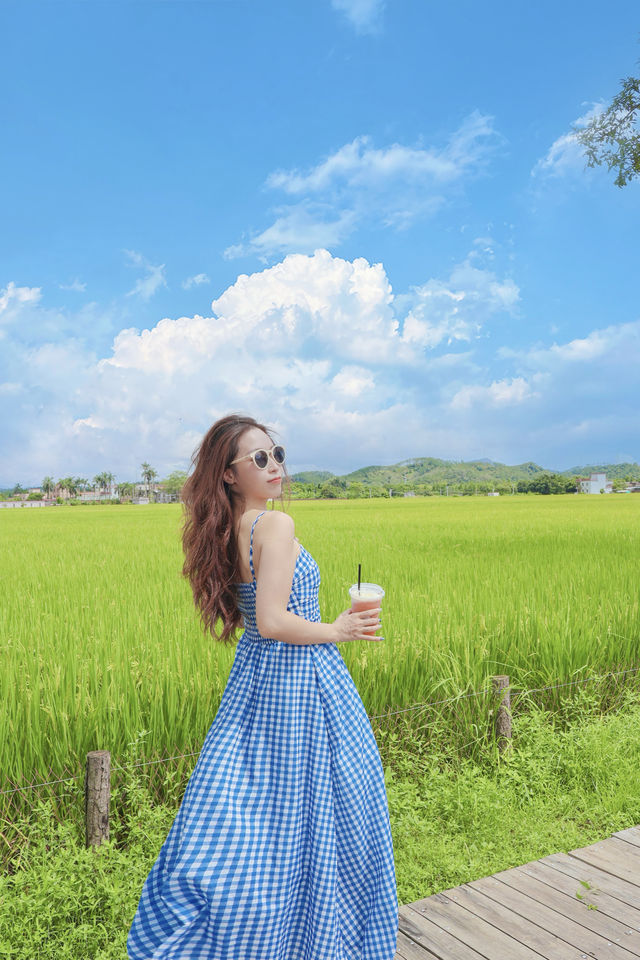 江門 | 走進宮崎駿嘅夏天！只想發呆一個下晝！