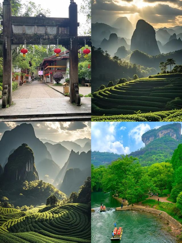 避暑就去武夷山！登天遊峰睇雲海