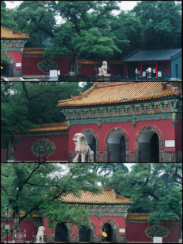 攝影｜瀋陽東陵郊野公園嘅夏天