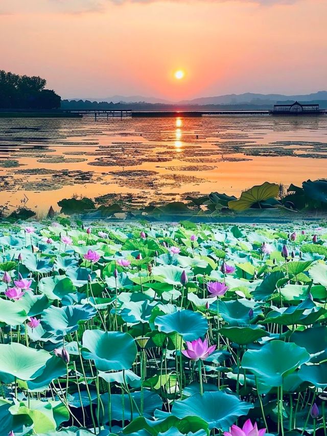除咗老白干同衡中，呢度仲有啲咩