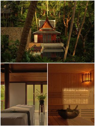 The Pinnacle of Healing and Wellness Hotels