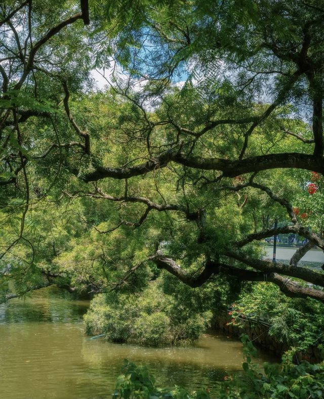 初夏惠州小眾玩法！