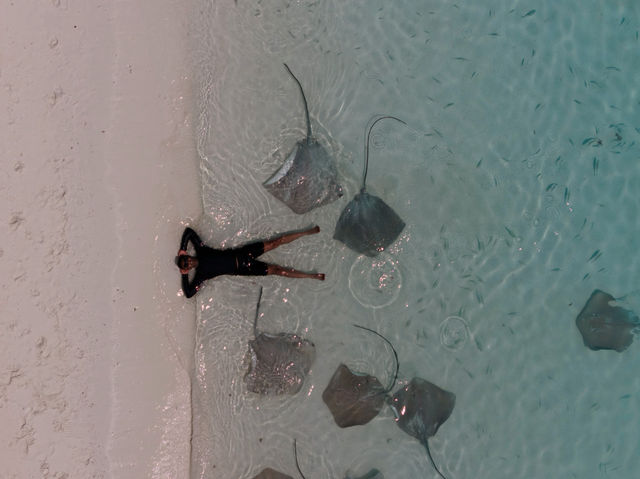 Amazing Maldives Getaway! 🌴✨
