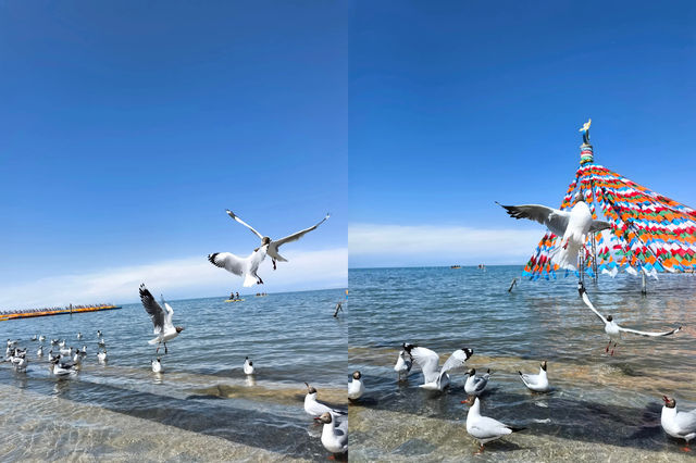 青海湖遊玩全攻略，新手都能輕鬆玩轉！