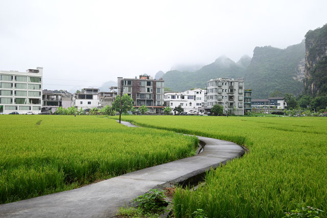 雲霧山中起，仙境數十里！