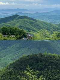 德清避暑之旅：兩日清涼奇遇