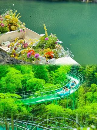 莫干山已回7~8月真係唔建議去，因為真係實在係~~~~
