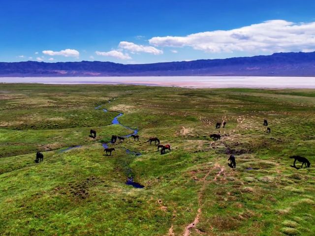 七月探索烏魯木齊鹽湖景區：鹽海之上的夢幻奇景   七月，陽光熾熱，烏魯木齊鹽湖景區宛如一顆璀璨嘅明