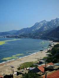 帶娃闖青島！挖沙/撈蟹/泡海洋樂園全攻略