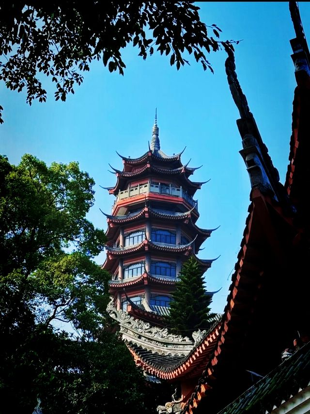 藏喺重慶九龍坡嘅心靈淨土華岩寺