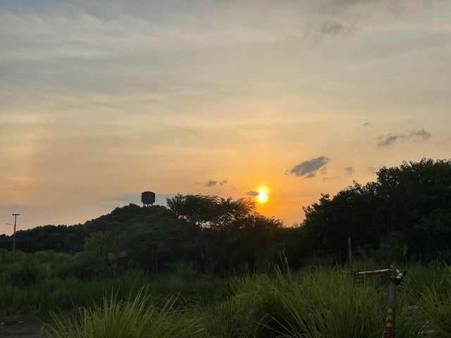 人少景靚，呢個地方太適合飲茶啦||江西吉安安福起鳳山礦坑公園