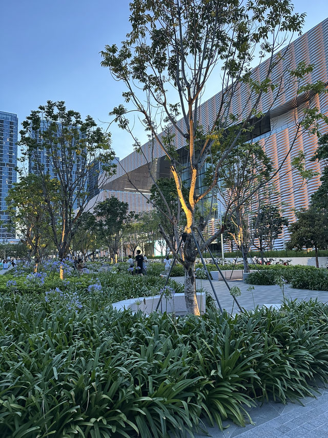 7-Day Shenzhen Itinerary: A Perfect Mix of Culture, Fun, and Modernity