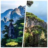 黃山超美，但真心不建議8月去，因為...........