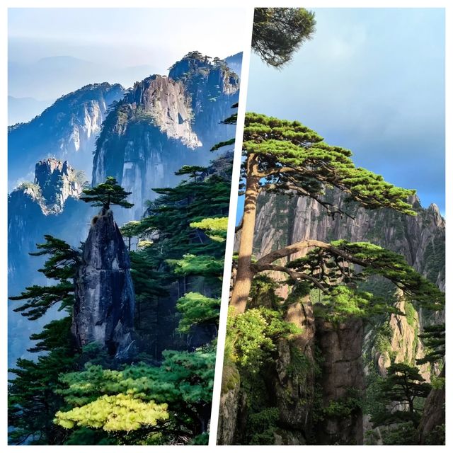 黃山超美，但真心不建議8月去，因為...........