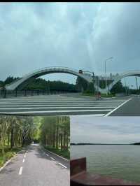 寶子們!雖然櫻花季已經悄然落幕,但那股浪漫餘韻彷彿還在!