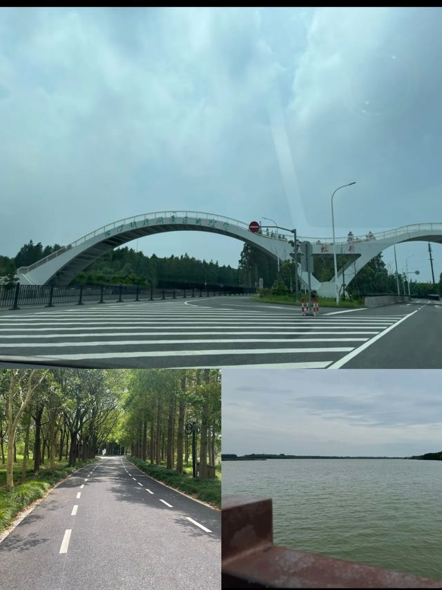 寶子們!雖然櫻花季已經悄然落幕,但那股浪漫餘韻彷彿還在! 寶子們!雖然櫻花季已經悄然落幕,但那股浪漫餘韻彷彿還在!