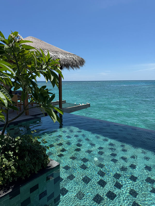 Wonderful Stay at Hilton Maldives Amingiri