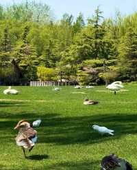 北京被低估的免費公園｜不去後悔系列