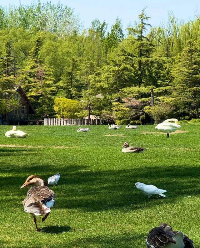 北京被低估的免費公園｜不去後悔系列