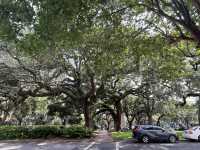 美國南方小鎮薩凡納 - 《阿甘正傳》取景地