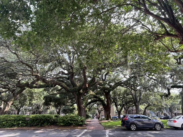 美國南方小鎮薩凡納 - 《阿甘正傳》取景地