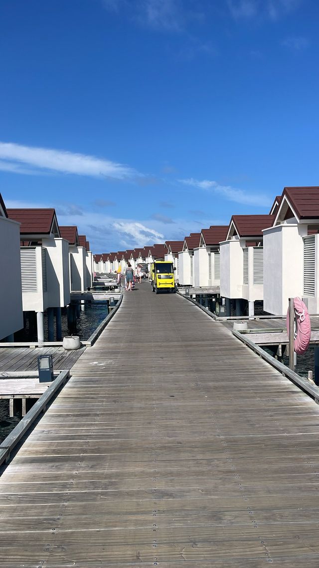 Paradise Experience with Outstanding Service