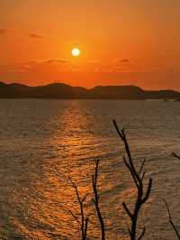 嵊泗獨行治癒指南｜海島再見