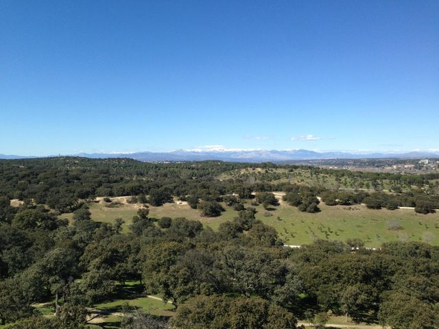 🫶馬德里英迪格酒店,體驗都市魅力 🫶馬德里英迪格酒店,體驗都市魅力