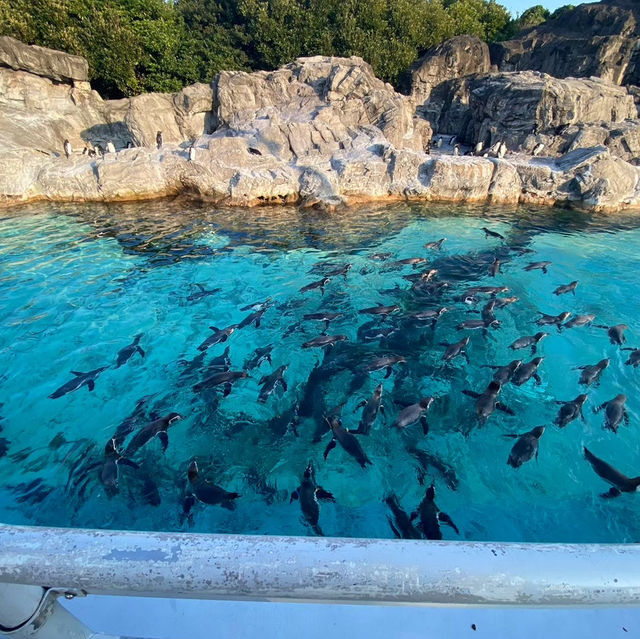 【東京】葛西臨海公園水族園へ🐠🫧‪