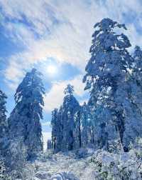 瓦屋山嗎，那確實不錯