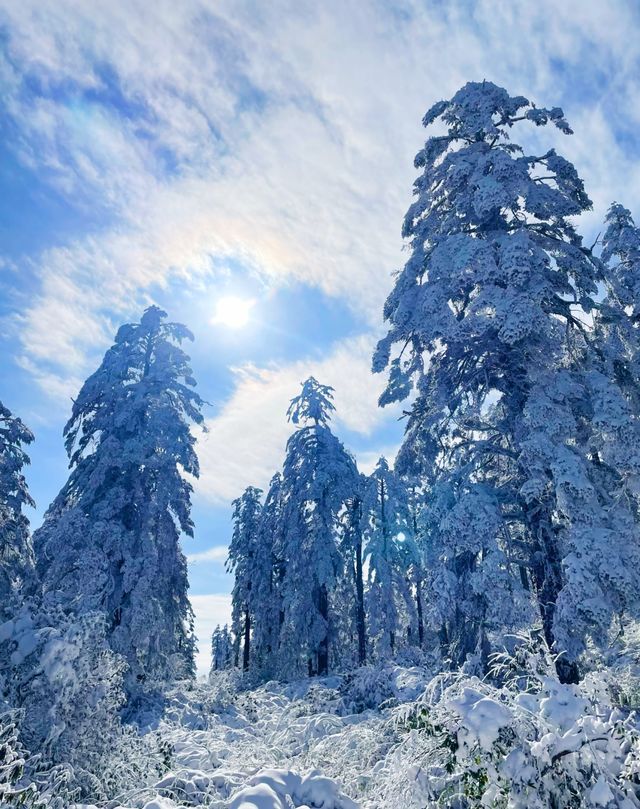 瓦屋山嗎，那確實不錯