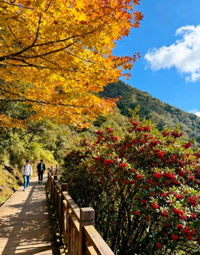 南寧+保姆級攻略帶你遊玩絕美景點