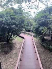 雨中深圳絕美中式園林