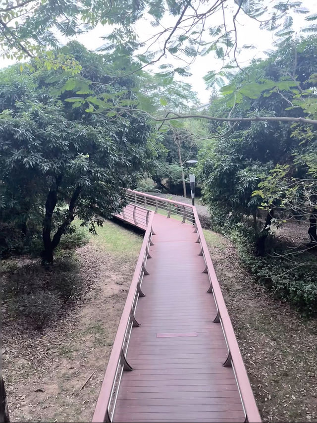 雨中深圳絕美中式園林
