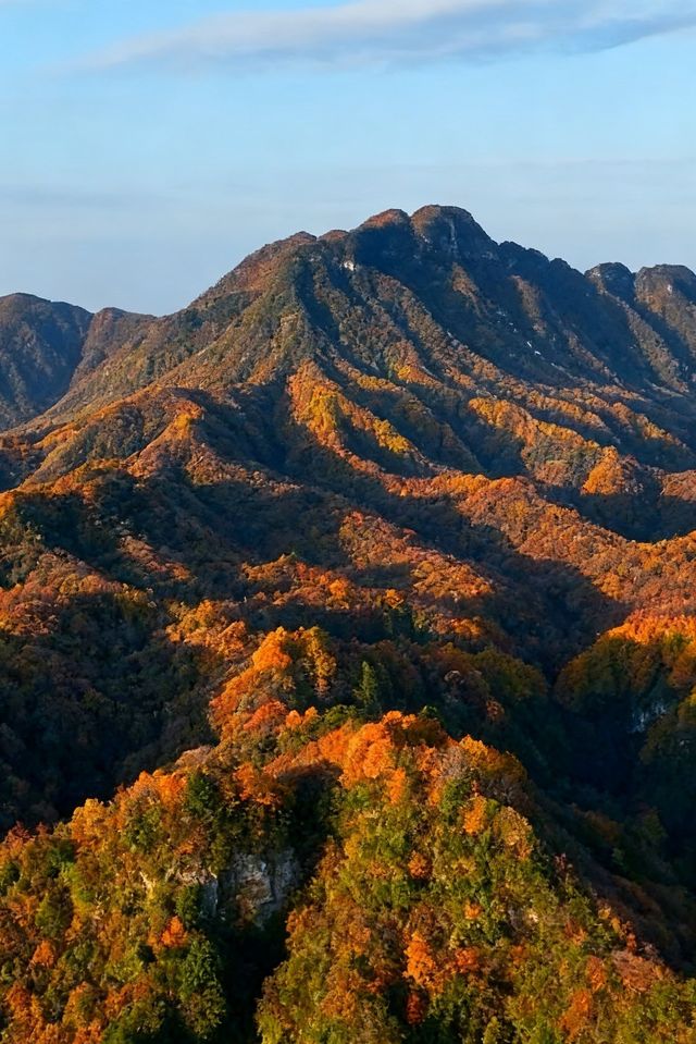 救命光霧山的秋天真的美哭我了
