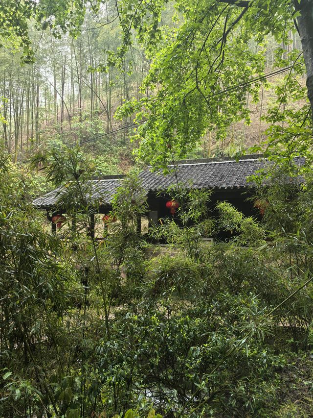 衢州仙霞關|青石古道印滄桑 蒼松迎客越千年 衢州仙霞關|青石古道印滄桑 蒼松迎客越千年