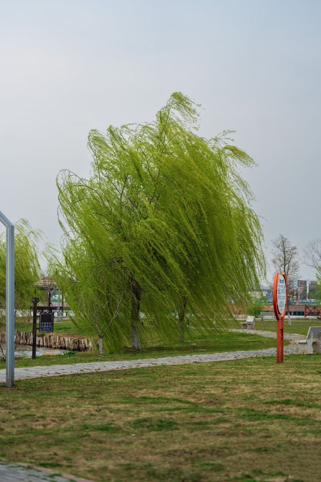 奎湖濕地邂逅頤朋，解鎖夢幻假日！