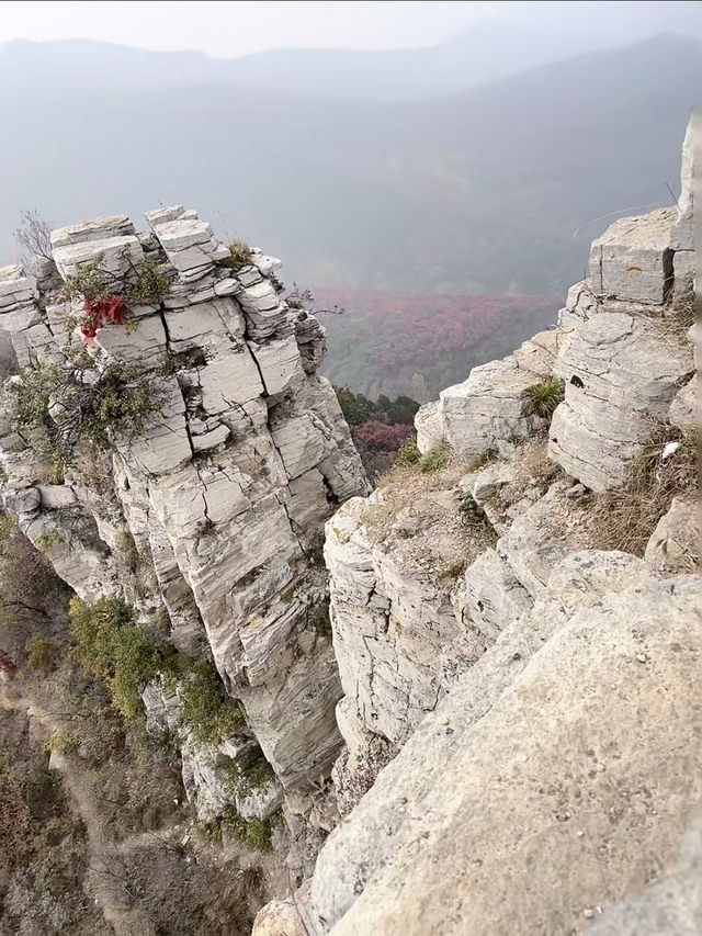 濟南劈山秋日攻略｜免費紅葉秘境，徒步即入油畫