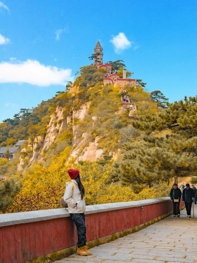 北京1.5h直達！乾隆32次踏足的仙山，秋日美成畫