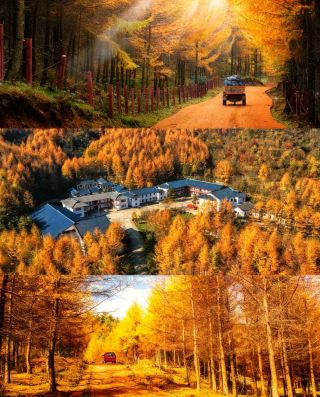 寶子們！成都周邊挖小眾美景，這次真的挖到寶啦！