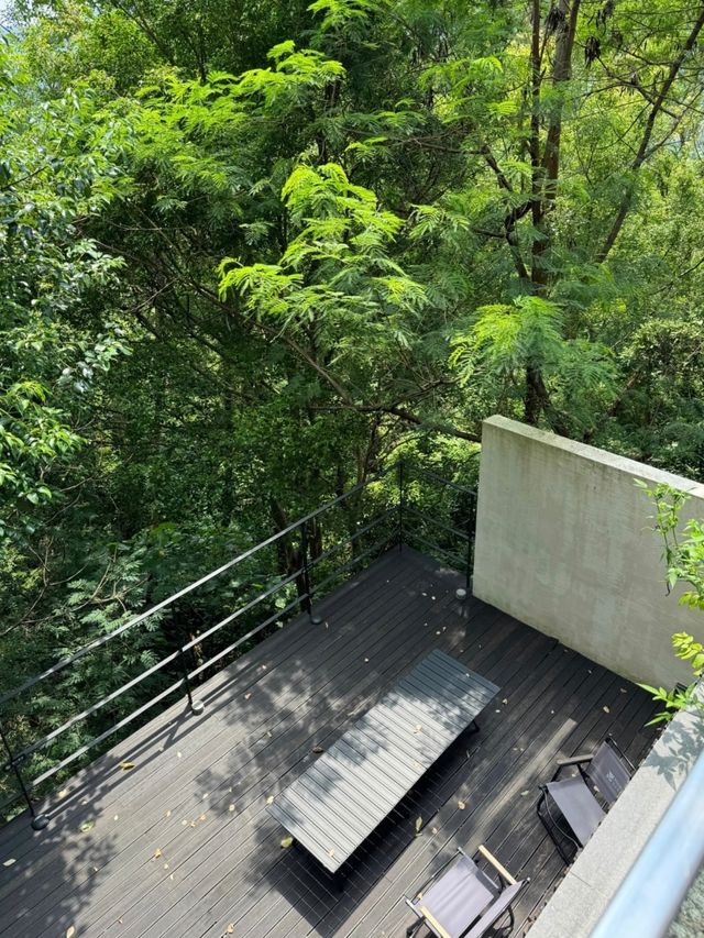 深圳東部華僑城神仙民宿 | 躺平放空遛狗絕佳地！