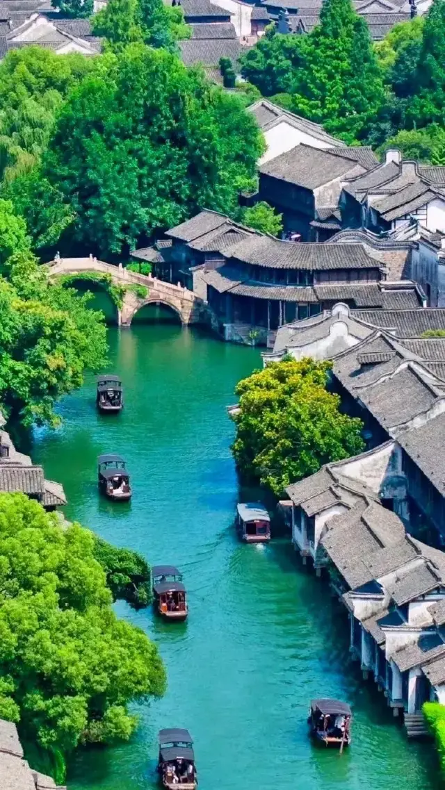 【A Millennia-Old Water Town Dream】Wuzhen, the Charm of Jiangnan!