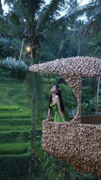 Ubud|烏布最美梯田