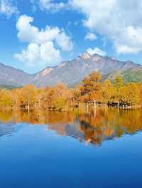 水上紅葉、晨霧牧牛，秋季必打卡的天堂