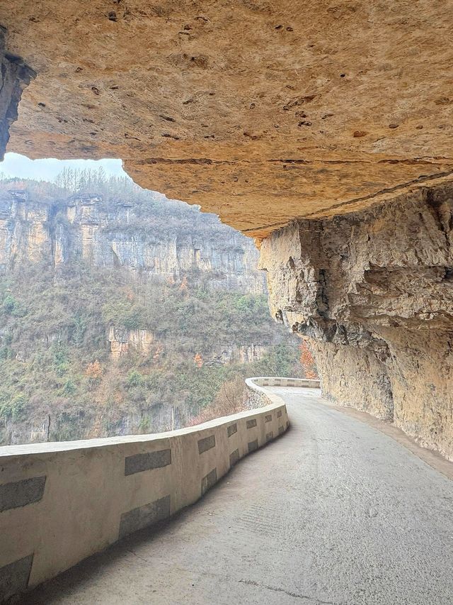 穿越掛壁公路，邂逅秦巴深山最絢爛的秋色