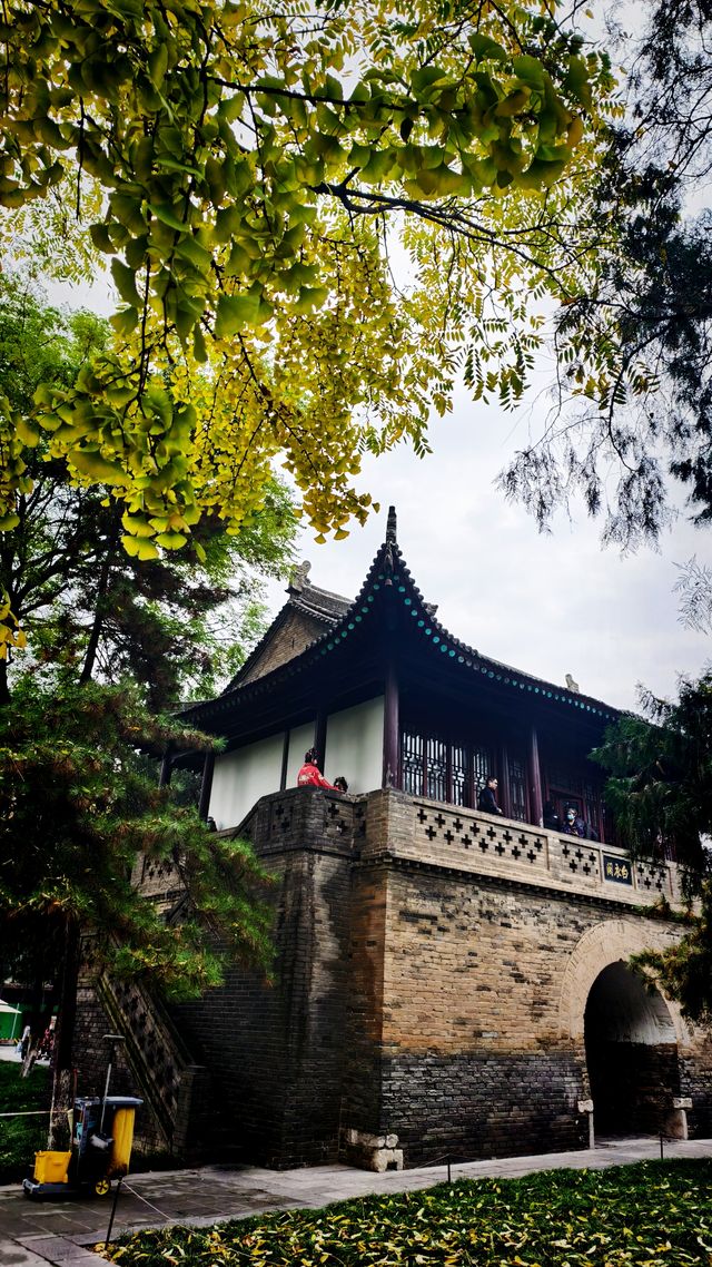 秋日去小雁塔感受歷史的厚重與自然和諧交融吧