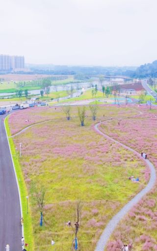 Beautiful in all seasons! Check in at Bailin River Ecological Park, capture forest-themed blockbusters effortlessly:
