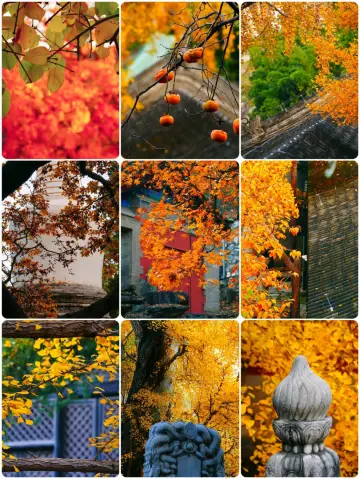 獨行北京的秋日禪意｜大覺寺賞楓全攻略