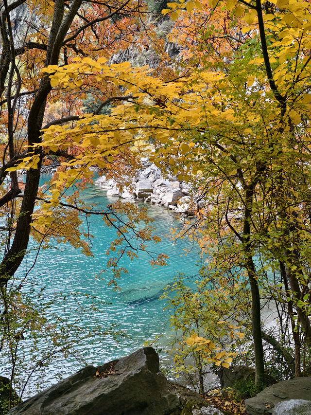 11月松坪溝美到窒息！彩林映碧水，一天才花130元！